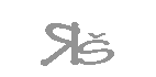 RS Monogram